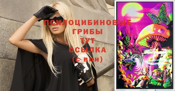 ГАЛЛЮЦИНОГЕННЫЕ ГРИБЫ Алзамай