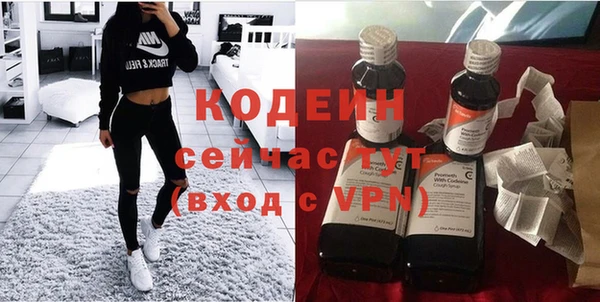 ГАЛЛЮЦИНОГЕННЫЕ ГРИБЫ Алзамай