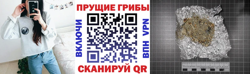 Псилоцибиновые грибы Cubensis  MEGA ONION  Долинск 